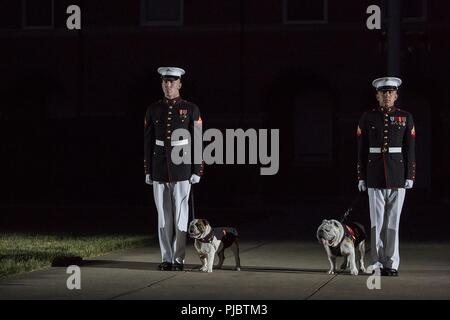 Le Caporal Troy Nelson, mascot handler, Marine Barracks Washington D.C., et lance le Cpl. Jacques Bourgeois, mascot, gestionnaire, MBW au garde à vous avec les mascottes du Corps des Marines, le sergent. Chesty XIV et Pvt. Chesty XV, au cours d'un défilé vendredi soir à la caserne, le 13 juillet 2018. L'invité d'honneur pour la parade était le sénateur américain pour le Wisconsin, Ron Johnson, et l'accueil a été le Commandant de la Marine Corps, le général Robert B. Neller. Banque D'Images