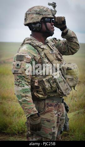 Le Lieutenant-colonel de l'armée américaine Kelvin Swint, commandant du 2e Bataillon, 5e régiment de cavalerie, 1st Armored Brigade Combat Team, 1re Division de cavalerie, à la recherche de l'impact d'un mortier à un champ de tir dans la région de North Harrow, en Roumanie, le 19 juillet 2018. Des soldats américains a effectué un tir de mortier à la formation et à l'évaluation à l'appui de la résolution de l'Atlantique, un exercice d'entraînement durables entre l'OTAN et des Forces américaines. Banque D'Images