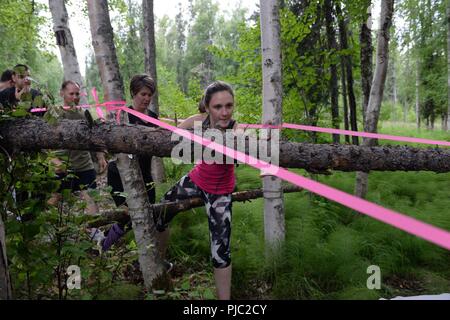 Sept équipes font leur chemin à travers le premier obstacle à la survie de l'Arctique Mud Run 5k, 16 juillet 2018 à Eielson Air Force Base, en Alaska. Cet obstacle à l'essai sous l'agilité de chacun des participants, tout en leur donnant une idée de ce que le terrain de l'avant. Banque D'Images