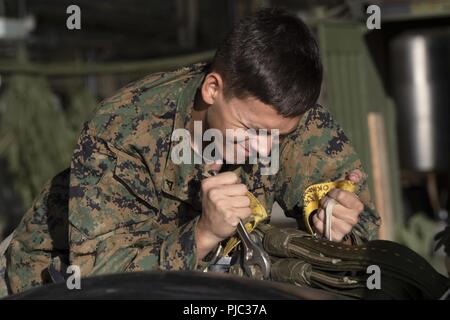 Le Corps des Marines des États-Unis. Connor avec le Morrow Bataillon de soutien Transport 3d, permet de fixer une palette de livraison de l'air au cours de la formation à l'exercice Kodiak Mace Joint Base Elmendorf-Richardson, Alaska, le 18 juillet 2018. Marines de la BST, 3d VMGR-152, et l'Escadron de soutien de l'aile Marine 172 participent à l'exercice Kodiak Mace. Au cours de l'exercice, le 25 juillet, les Marines sont l'air de précision du système de drop, le fret, et du personnel des parachutages. Banque D'Images