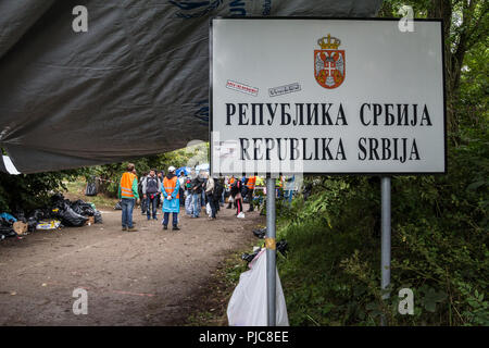 BERKASOVO, SERBIE - Septembre 27, 2015 : rassemblement des réfugiés derrière la frontière signe sur Serbie Croatie limite dans Berkasovo Bapska, sur la Route des Balkans Banque D'Images