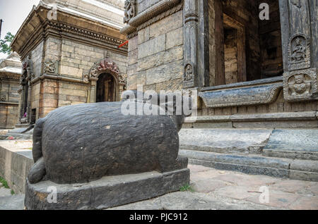 Face à la vache temples et sanctuaires votifs dans une rangée à temple de Pashupatinath, Katmandou, Népal - Sri Temple Pashupatinath situé sur les rives de la Ba Banque D'Images