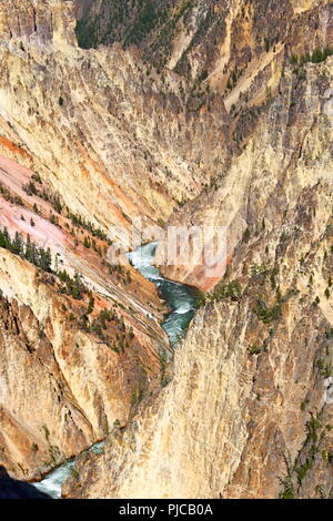 Lower Falls Grand view, Grand Canyon de Yellowstone National Park, Wyoming, USA Banque D'Images
