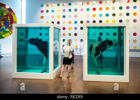 Copenhague. Le Danemark. Musée d'art moderne Arken Ishøj dans. Les visiteurs à la recherche de vaches dans le formaldéhyde, l'installation par Damien Hirst, intitulé Love's Parado Banque D'Images