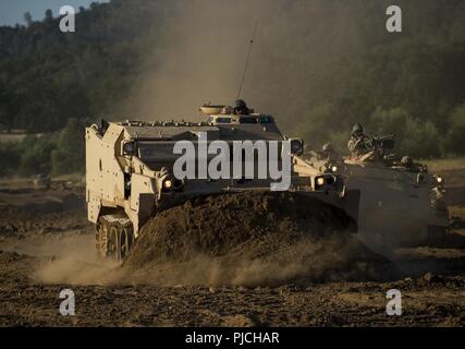 Réserve de l'Armée américaine les soldats du génie de combat utiliser un M9 Véhicules blindés de combat Génie civil pour effacer la saleté pour une infraction pendant un exercice de formation de soutien au combat (CSTX) à Fort Hunter Liggett, Californie, le 22 juillet 2018. Cette rotation des CSTX traverse le mois de juillet, la formation de milliers de soldats de réserve de l'Armée américaine à partir d'une variété de fonctions pour inclure la police militaire, médicales, chimiques, de la logistique, transport et plus encore. Banque D'Images