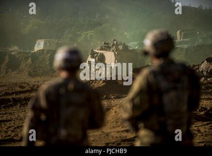 Ingénieur de combat ARMÉE Des soldats de la 374e compagnie du génie, de Concord, en Californie, et de la 350e compagnie du génie, de Bell, Californie, travailler ensemble sur une violation au cours d'un exercice d'entraînement de soutien au combat (CSTX) à Fort Hunter Liggett, Californie, le 22 juillet 2018. Cette rotation des CSTX traverse le mois de juillet, la formation de milliers de soldats de réserve de l'Armée américaine à partir d'une variété de fonctions pour inclure la police militaire, médicales, chimiques, de la logistique, transport et plus encore. Banque D'Images