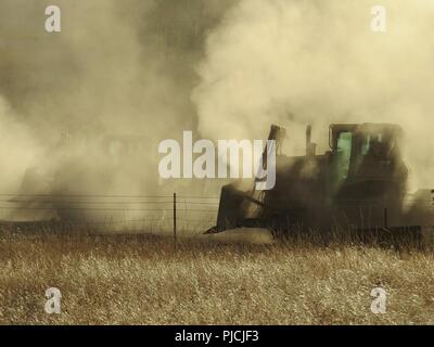 FORT HUNTER LIGGETT, Californie. - Les ingénieurs de l'armée américaine Réserver route D14 de bulldozers vers un ennemi défendu tranchée le 22 juillet 2018, au cours de l'exercice de formation de soutien au combat (CSTX) 98-18-01 à Fort Hunter Liggett, Californie Les bulldozers D14 ont été essentiels pour assurer le succès de l'ingénieur qui a permis à l'opération de rupture force d'assaut pour s'emparer d'une position ennemie. CSTX 91-18-01 assure America's Army les unités de la Réserve sont formés pour déployer ce qui porte capable, aptes au combat, et la puissance de feu meurtrière à l'appui de l'armée et nos partenaires n'importe où dans le monde. Banque D'Images