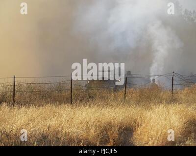 Réserve de l'armée américaine d'agression par les ingénieurs de fumée obscurcissant avec leur véhicule blindé M113 le 22 juillet 2018 à Fort Hunter Liggett, en Californie, au cours de l'exercice de formation de soutien au combat, 91-18-01. La fumée a permis aux unités de génie d'aborder les obstacles de l'ennemi et se préparer à ouvrir des couloirs pour l'adoption de la force d'assaut de la position ennemie. CSTX 91-18-01 assure America's Army les unités de la Réserve sont formés pour déployer ce qui porte capable, aptes au combat, et la puissance de feu meurtrière à l'appui de l'armée et nos partenaires n'importe où dans le monde. Banque D'Images