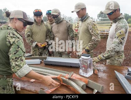 SCHOFIELD CASERNES, Hawaii (23 juillet 2018) - Technicien des explosifs et munitions 2e classe Jessica Bobango, affecté à l'unité mobile de destruction des engins explosifs (EODMU 3), affiche de charges explosives à des membres de la République de Corée, la flottille des opérations spéciales de la Marine avant d'opérations de démolition au cours de l'exercice Rim of the Pacific (RIMPAC), le 23 juillet. Vingt-cinq nations, 46 navires, 5 sous-marins, et d'environ 200 avions et 25 000 personnes participent à l'EXERCICE RIMPAC du 27 juin au 2 août dans et autour des îles Hawaï et la Californie du Sud. Le plus grand du monde maritime international exerc Banque D'Images