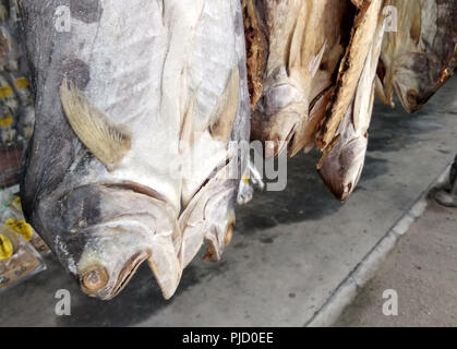Le poisson séché salé est accroché sur par le vendeur dans la boutique. Vendre en paquets ou d'écailles. Banque D'Images