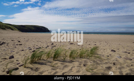 L'herbe sur terrains sableux à Sandwood bay beach, dans le nord de l'Ecosse Banque D'Images