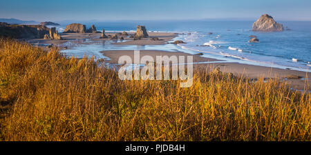 Arches, seastacks, et des pierres à Band.on Beach, Oregon. Banque D'Images