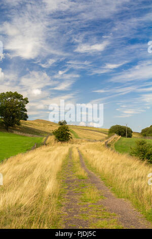 Sentier South Tyne, Royaume-Uni, Slaggyford Banque D'Images