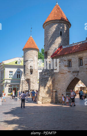 La porte Viru, vue de la Porte Viru à Tallinn - vu de l'intérieur de la vieille ville médiévale de la ville, de l'Estonie. Banque D'Images