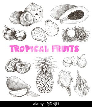 Croquis de fruits tropicaux Illustration de Vecteur