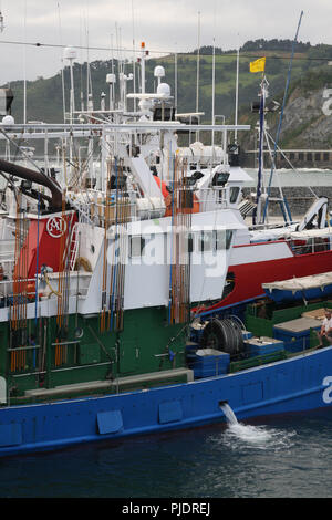 Le thon germon certifié MSC et troll Pole & line flotte de pêche dans le port de Getaria (Pays Basque) Banque D'Images