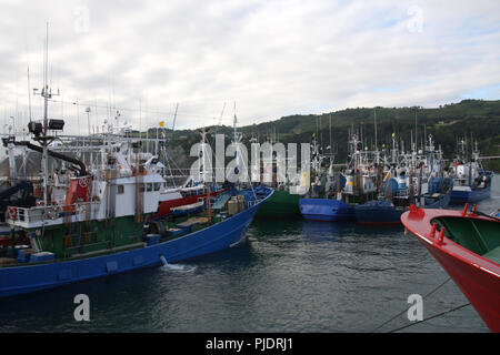 Le thon germon certifié MSC et troll Pole & line flotte de pêche dans le port de Getaria (Pays Basque) Banque D'Images