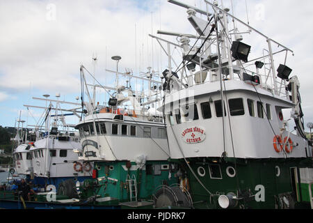 Le thon germon certifié MSC et troll Pole & line flotte de pêche dans le port de Getaria (Pays Basque) Banque D'Images