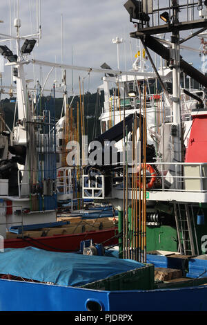 Le thon germon certifié MSC et troll Pole & line flotte de pêche dans le port de Getaria (Pays Basque) Banque D'Images