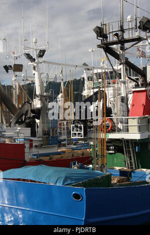 Le thon germon certifié MSC et troll Pole & line flotte de pêche dans le port de Getaria (Pays Basque) Banque D'Images