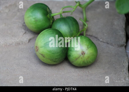 Apple ou de pommes de terre Pommes de terre Fruits Banque D'Images