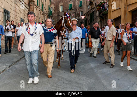 L'Istrice victorieux via prendre leur cheval à l'église de Santa Maria in Provenzano à chanter grâce à la Vierge Marie, Palio di Siena, Italie Banque D'Images