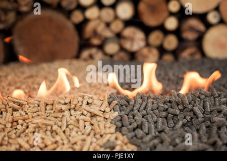 Deux type de pellets de tournesol et de pin -- dans le feu Banque D'Images