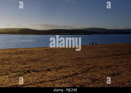 Un chien de la famille marche sur la plage d'Exmouth, Devon. La rivière Exe émerge dans la Manche Banque D'Images