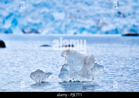 Kleine Eisstücke vor treiben Gletscher, Ny Alesund, Spitzberg, Europa |petits morceaux de glace flooting en face du glacier, Ny Alesund, Svalbard ou SPI Banque D'Images