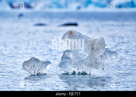 Kleine Eisstücke vor treiben Gletscher, Ny Alesund, Spitzberg, Europa |petits morceaux de glace flooting en face du glacier, Ny Alesund, Svalbard ou SPI Banque D'Images