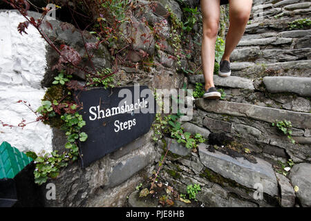 Pas Shamshackle, raide escalier en pierre du port de Clovelly, Devon, Angleterre. Banque D'Images