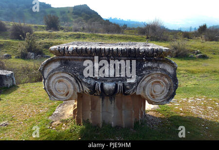 La section du haut d'une colonne ionique qui fait maintenant partie des ruines du temple d'Artémis à Ephèse en Turquie. Le temple est l'une des sept merveilles du monde antique. Banque D'Images