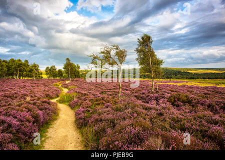 Peak District Parc Nation Banque D'Images