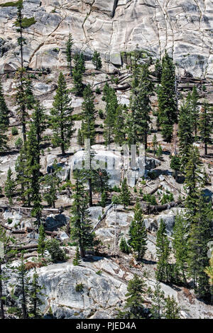Les rochers et les conifères à Devils Postpile National Monument, l'Inyo National Forest, Madera County, Californie Banque D'Images