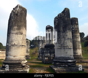 Certains des piliers et colonnes qui font maintenant partie des ruines du temple d'Artémis à Ephèse en Turquie. Le temple est l'une des sept merveilles du monde. Banque D'Images