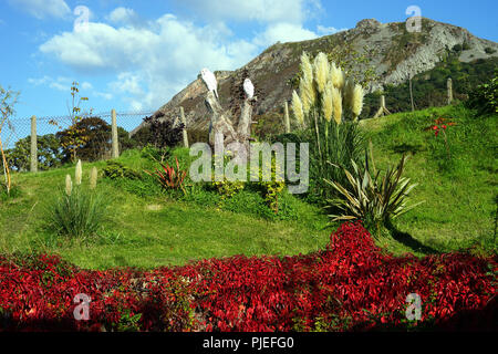 Virginia creeper, hiboux, sculpté avec Llanfairfechan mountain en arrière-plan. Prise en octobre 2016. Banque D'Images