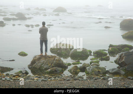 Vue sur l'océan le long de la plage à Sombrio Juan de Fuca Marine Trail, parc provincial Juan de Fuca, British Columbia, Canada Banque D'Images