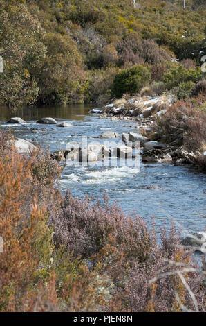 Thredbo Rivière après neige tomber quelques jours avant en hiver Banque D'Images