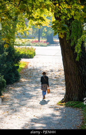 Passerelle dans le parc bordé par d'immenses arbres et buissons, vieille femme à partir de la vue arrière de marcher au milieu de chemin pavé, temps d'automne chaud lumière du midi Banque D'Images