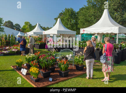 Jardin RHS Wisley, Surrey, Angleterre, Royaume-Uni. 6e Sept 2018. Les personnes bénéficiant de la chaleur du soleil à la RHS Wisley Flower show. © Tony Watson/Alamy Live News Banque D'Images