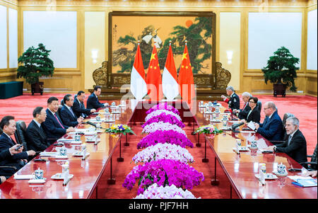 Beijing, Chine. Sep 7, 2018. Le président chinois Xi Jinping s'entretient avec le Prince Albert II, chef de l'Etat de la Principauté de Monaco, dans le Grand Hall du Peuple à Beijing, capitale de Chine, le 7 septembre 2018. Credit : Liu Bin/Xinhua/Alamy Live News Banque D'Images
