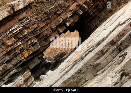 Hartland Quay rocks montrant l'érosion résultant dans un tunnel à travers les rochers. Banque D'Images