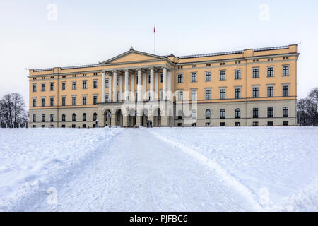 Oslo, Palais Royal, Norvège, Scandinavie, Europe Banque D'Images