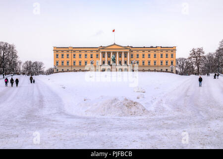 Oslo, Palais Royal, Norvège, Scandinavie, Europe Banque D'Images