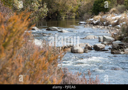 Thredbo Rivière après neige tomber quelques jours avant en hiver Banque D'Images