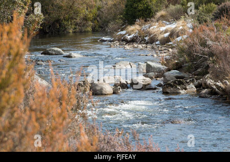 Thredbo Rivière après neige tomber quelques jours avant en hiver Banque D'Images