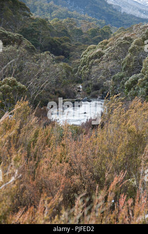 Thredbo Rivière après neige tomber quelques jours avant en hiver Banque D'Images