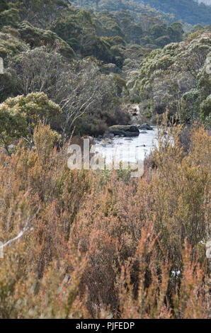 Thredbo Rivière après neige tomber quelques jours avant en hiver Banque D'Images
