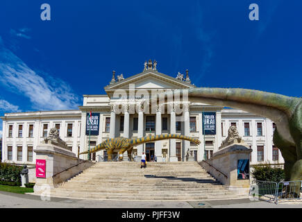 Vue d'été à la Mora Ferenc Museum à Szeged. Modèles de dinosaures en face de l'entrée de l'édifice néoclassique. Banque D'Images