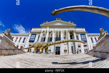 Vue d'été à la Mora Ferenc Museum à Szeged. Modèles de dinosaures en face de l'entrée de l'édifice néoclassique. Banque D'Images